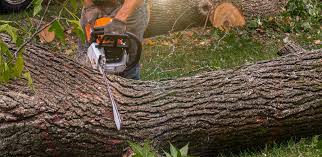 Best Lawn Irrigation Installation and Maintenance  in Twisp, WA
